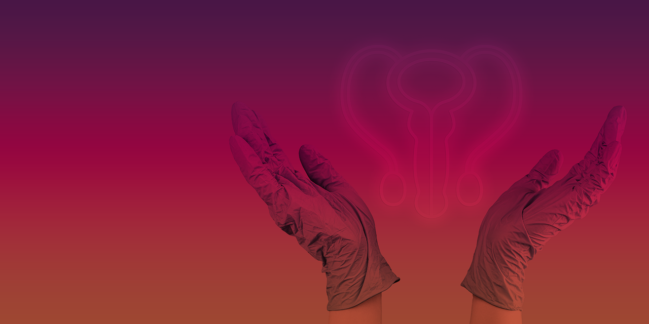 my blog sterelization