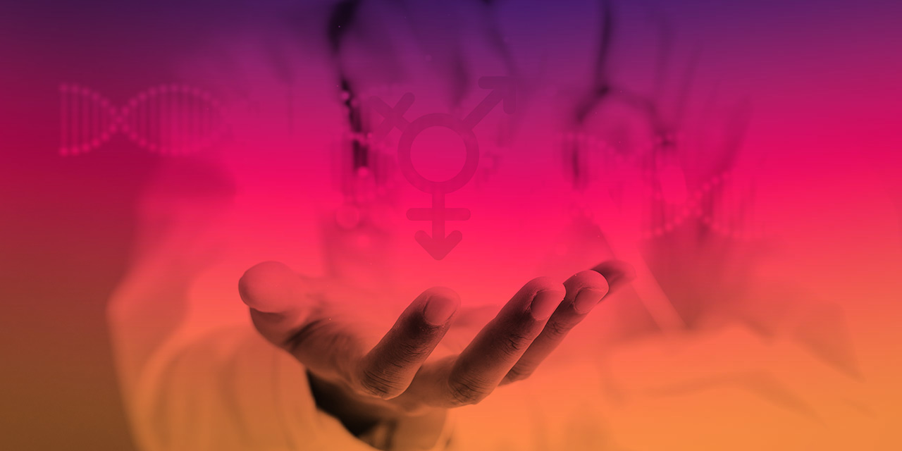 my blog Hormone und ihre Rolle