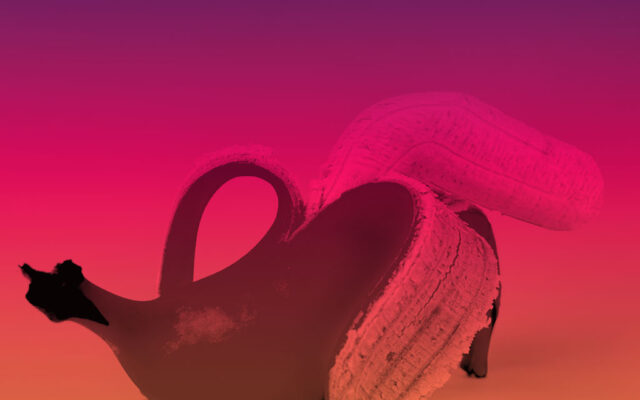 my blog Erektionsprobleme