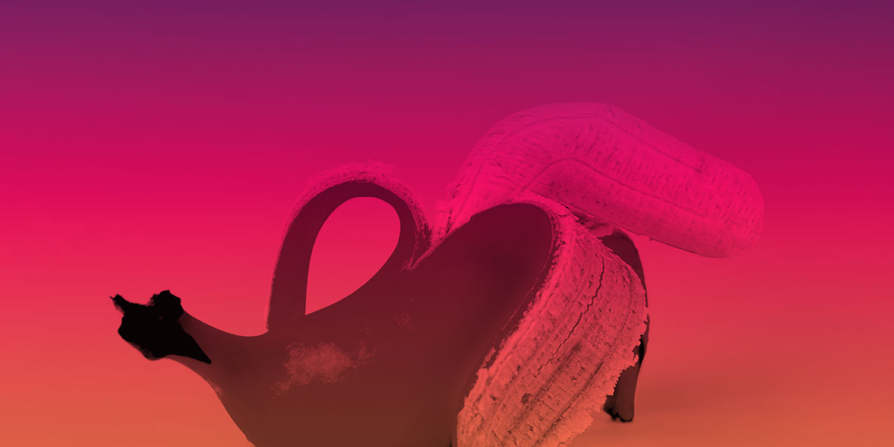 my blog Erektionsprobleme