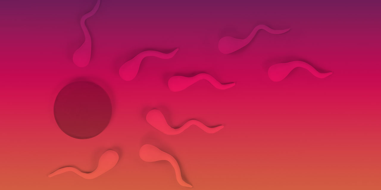 my blog Wie lange ueberleben Spermien