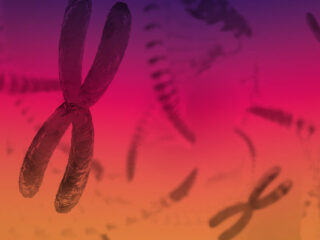 X wie X-Chromosom